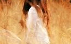 铁甲无敌奖门人下载